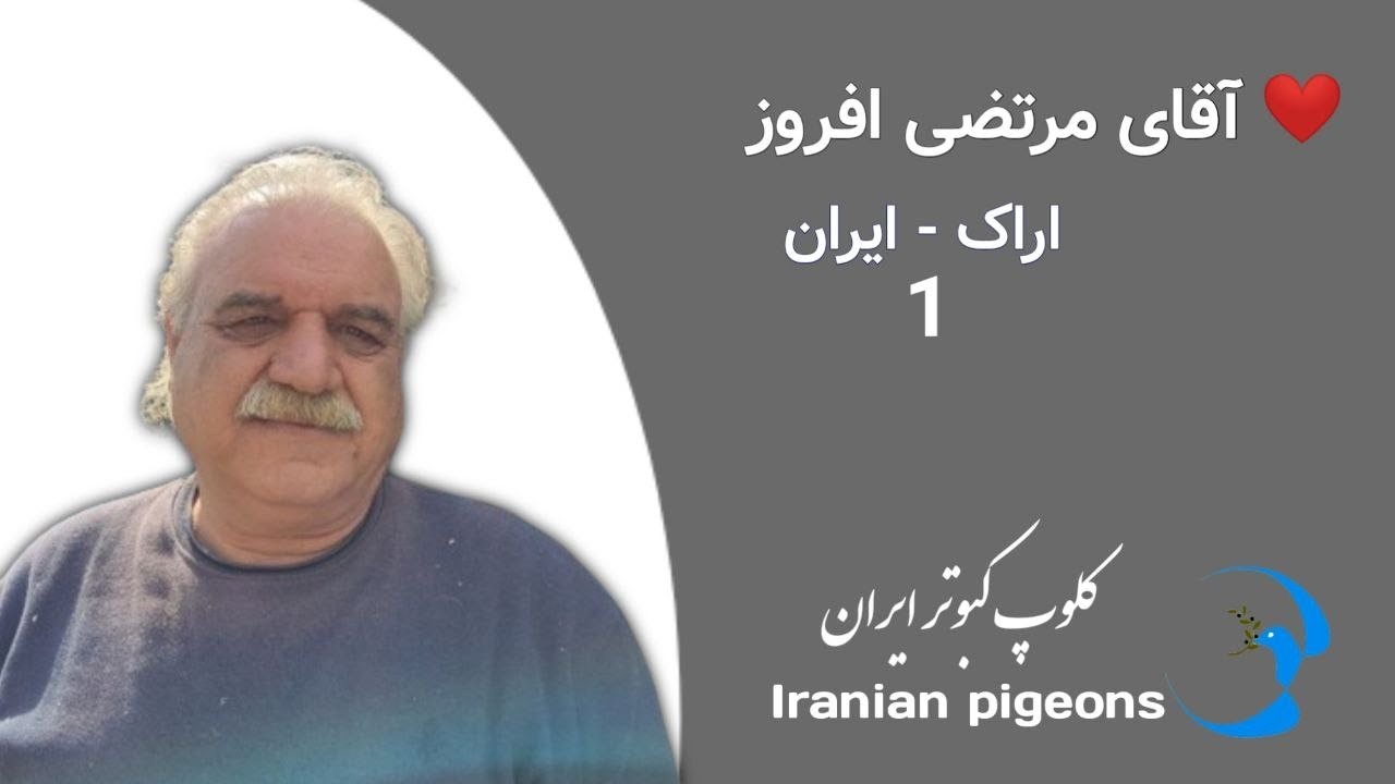❤️ اسفند ۱۴۰۲ گزارش و مصاحبه 3 با آقای مرتضی افروز از اراک iranian high flyers pigeon