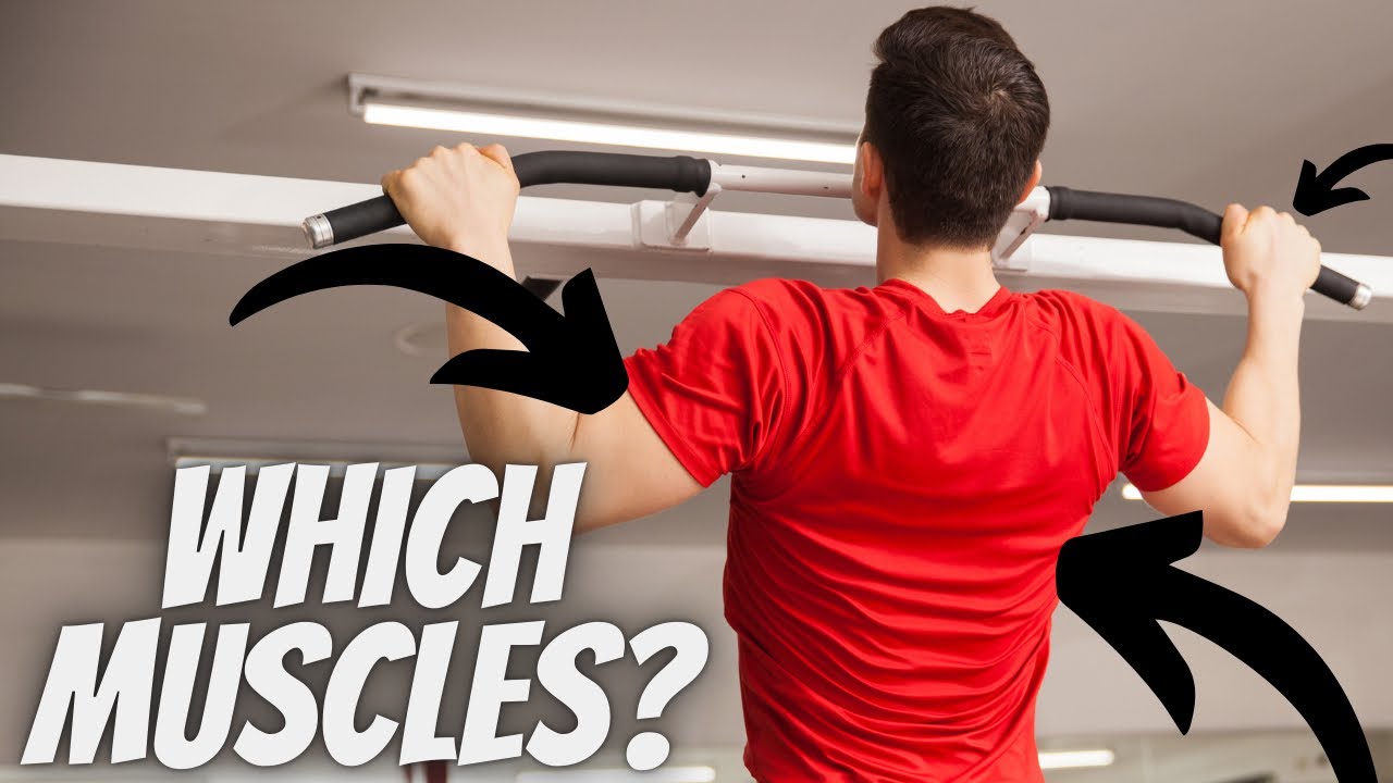 Which Muscles Does a Pull-up Work?