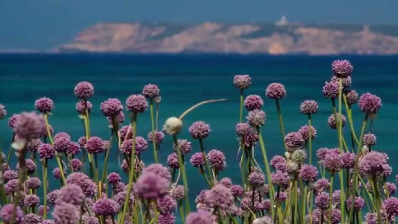 SARDEGNA SINIS SHOWREELS