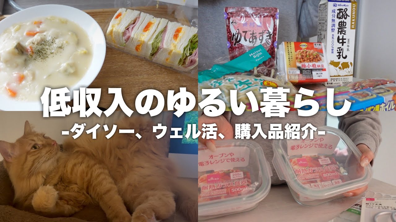 【低収入】一人暮らしのゆるい暮らし￤ダイソーの購入品￤ウェル活￤手取り14万円