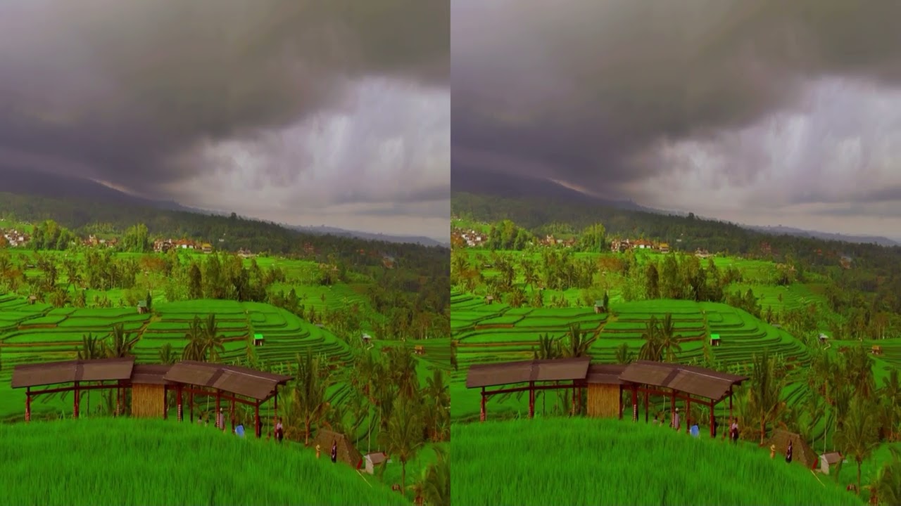 4K3D Jatiluwih Rice Terrace
