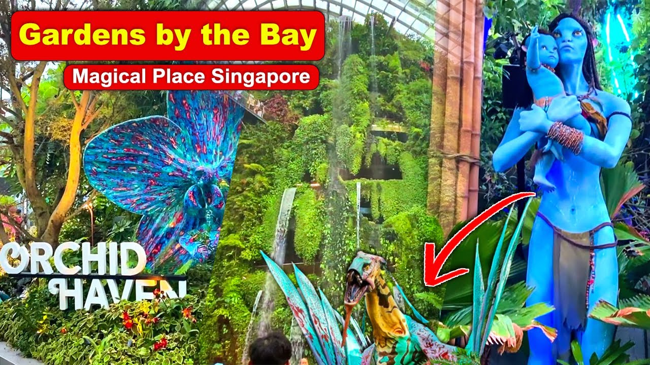 See such a place for the first time 😮 You MUST See Flower Dome Gardens by the Bay Singapore 🌱 Bea...