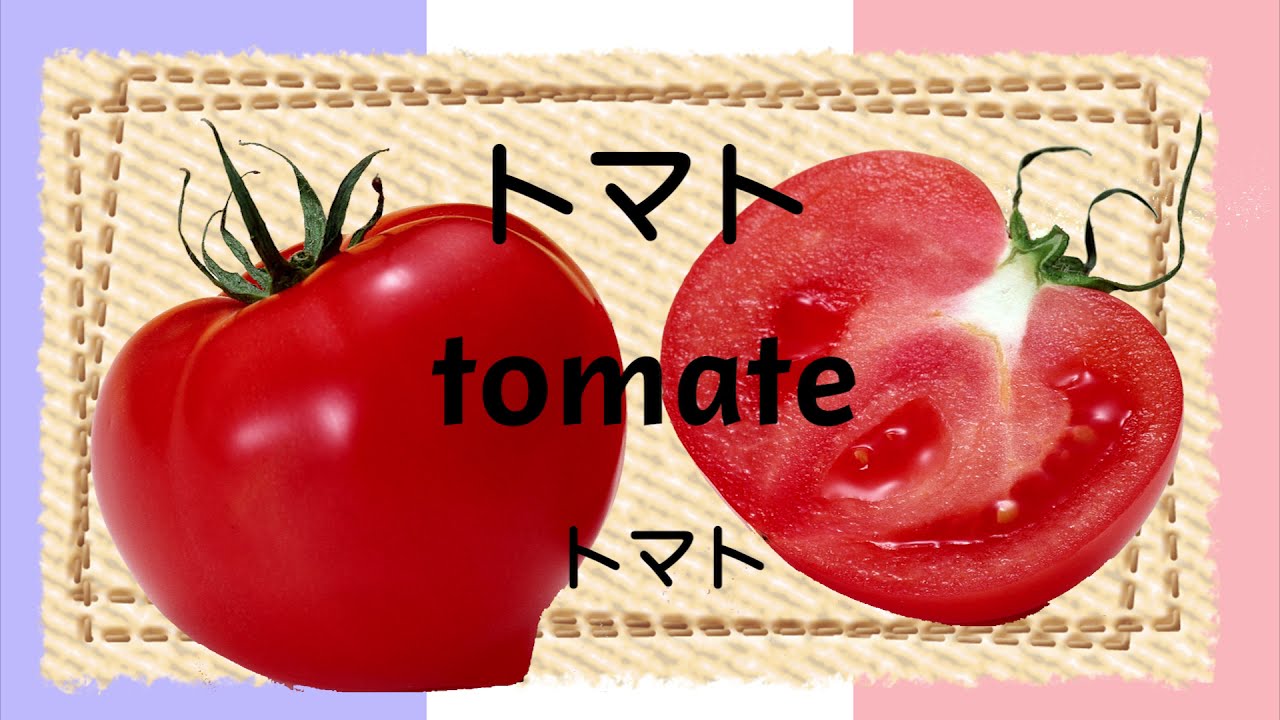 フランス語　単語聞き流しvol.3　français初級～フランス語聞き流し_食べ物