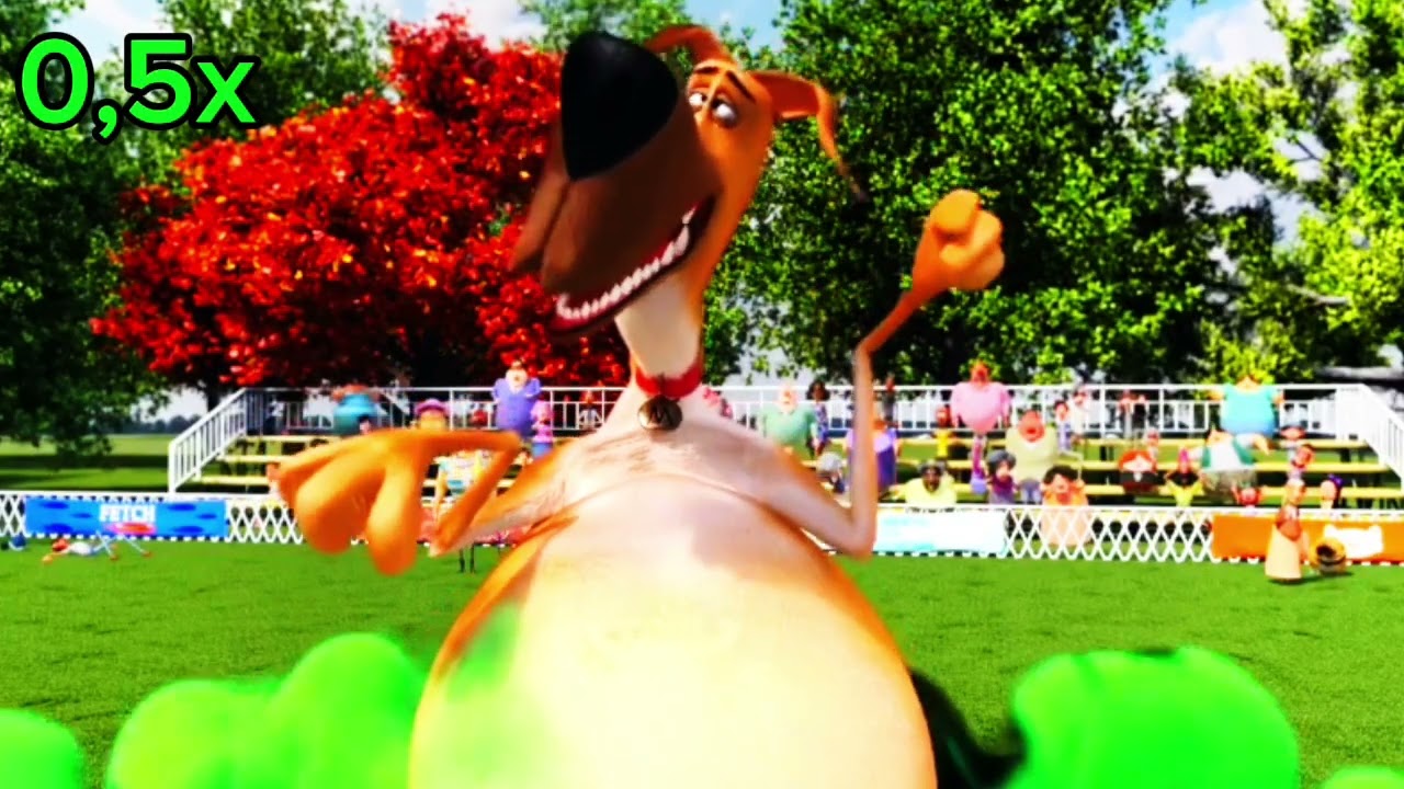 Marmaduke Farting
