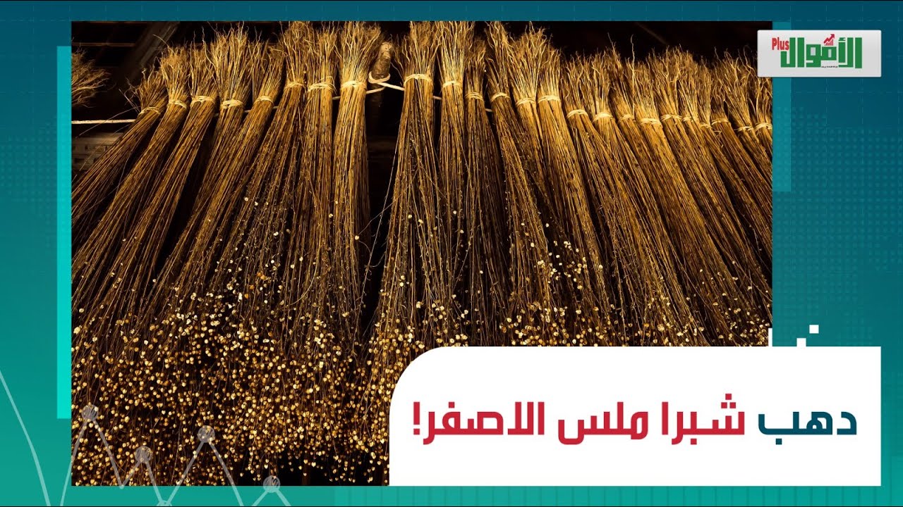 هنا شبرا ملس.. قلعة صناعة الكتان فى مصر.. مفيهاش عاطل واحد.. وكل أهلها بيكسبوا بالدولار: