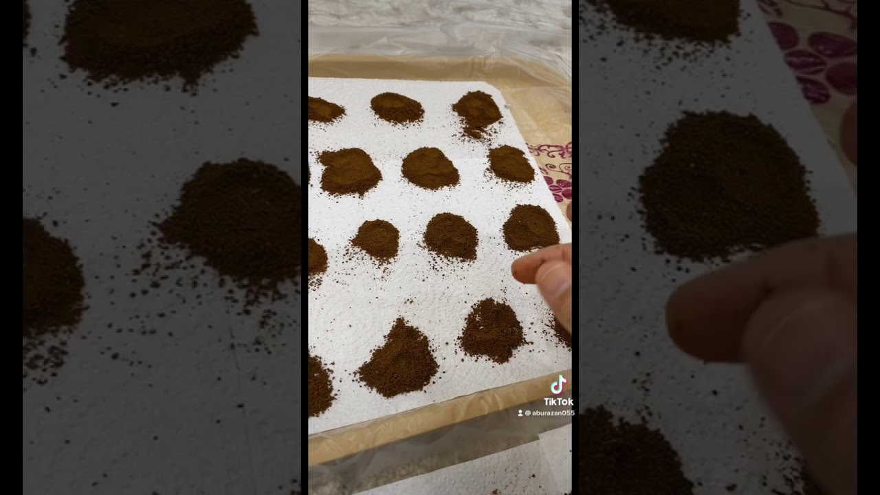 تجربة الطحن على طاحونة القهوة انكور بارتزا