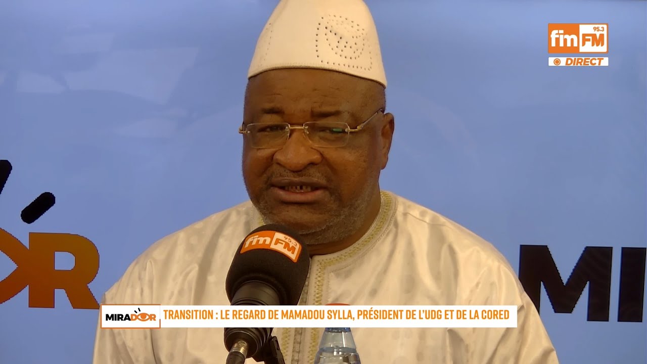Transition : Le regard de Mamadou Sylla, président de l’UDG et de la CORED