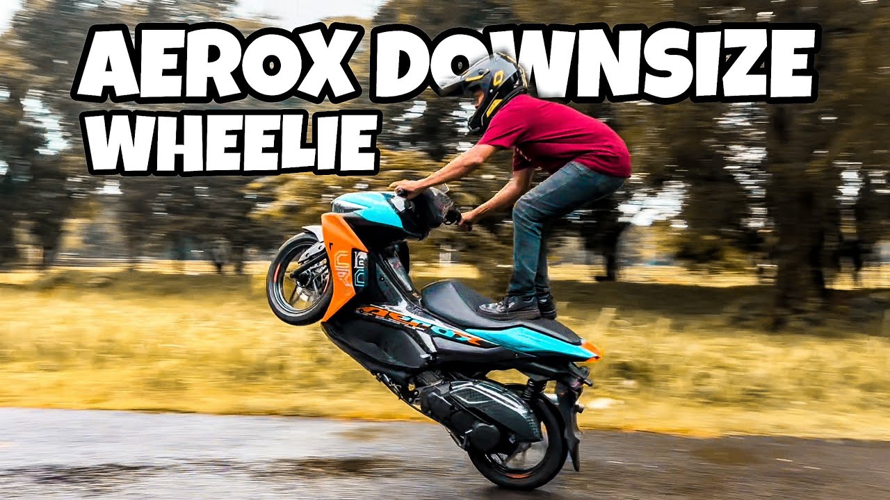 AEROX DOWNSIZE MOUNTING + 5CM WHEELIE