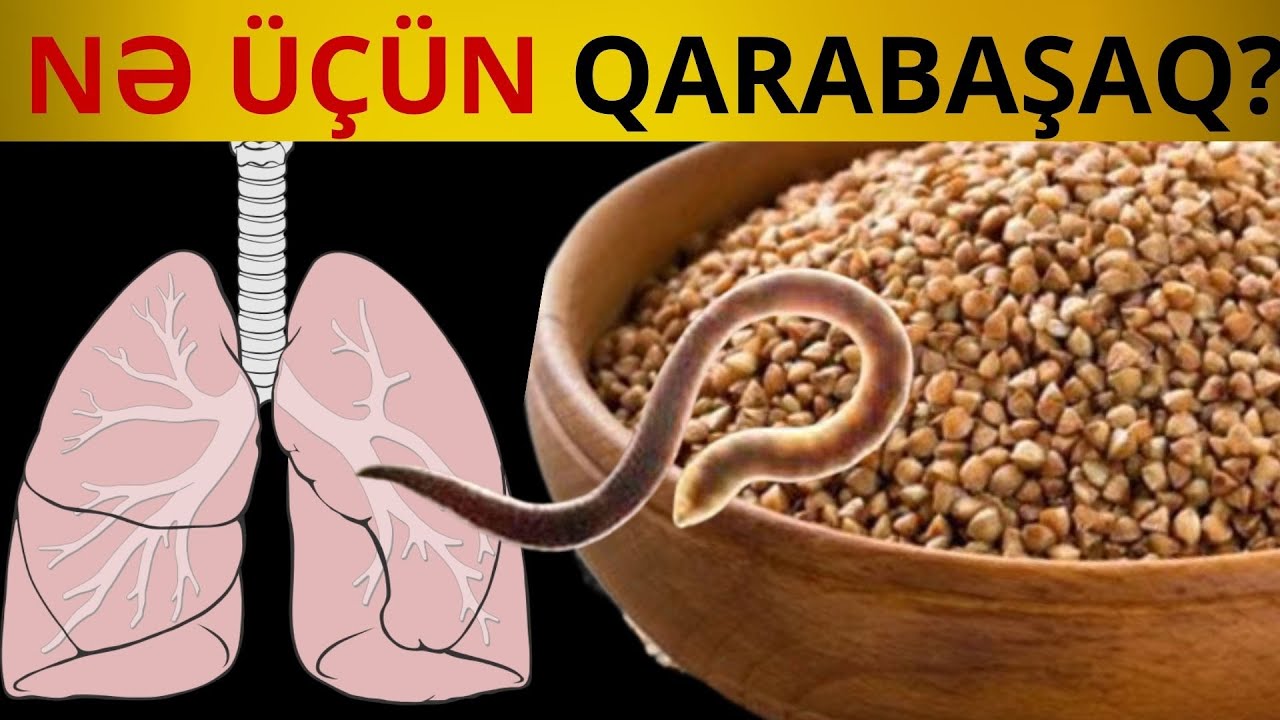 Hər gün bir qaşıq qarabaşaq yesəniz, ağ ciyəriniz saat kimi işləyəcək