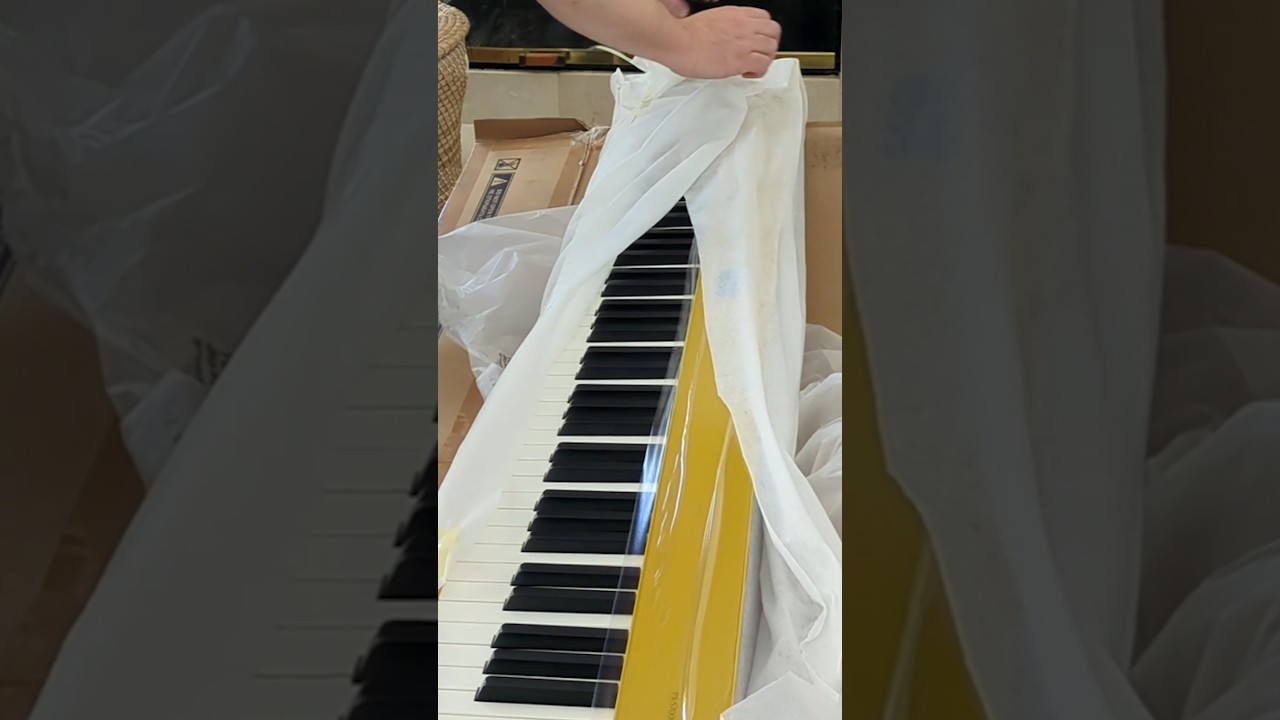 Thank you Casio for my new Privia PX-S7000! Can you guess this piece?#piano #keyboard #keys #choro