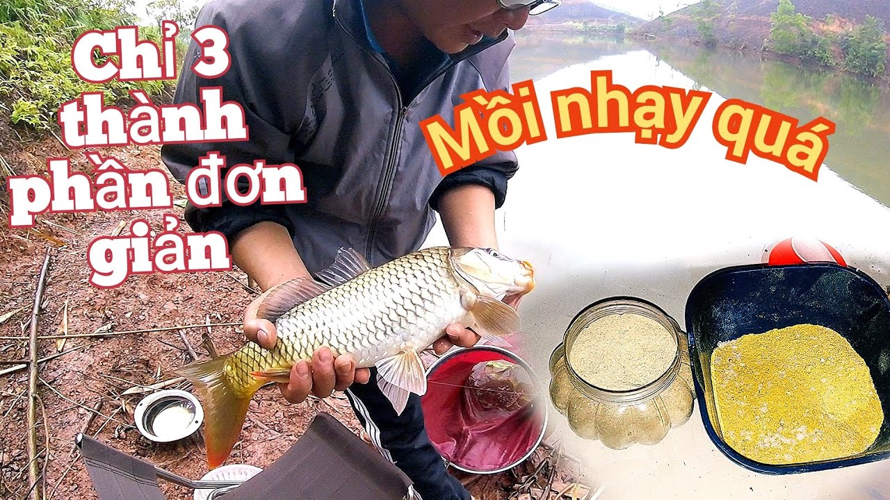 làm mồi câu chép quá đơn giản mà hiệu quả vi diệu/câu đài tự nhiên