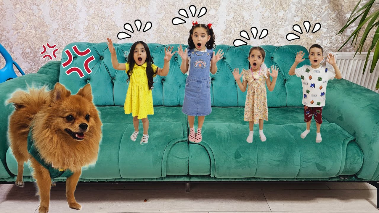 ELİF KÖPEK İSTEDİ ! KÖPEK ÇOK KIZDI ! HEPSİNİ CÜCE YAPTI ! بابا جاب لي بالون - جنى مقداد | طيور بيبي