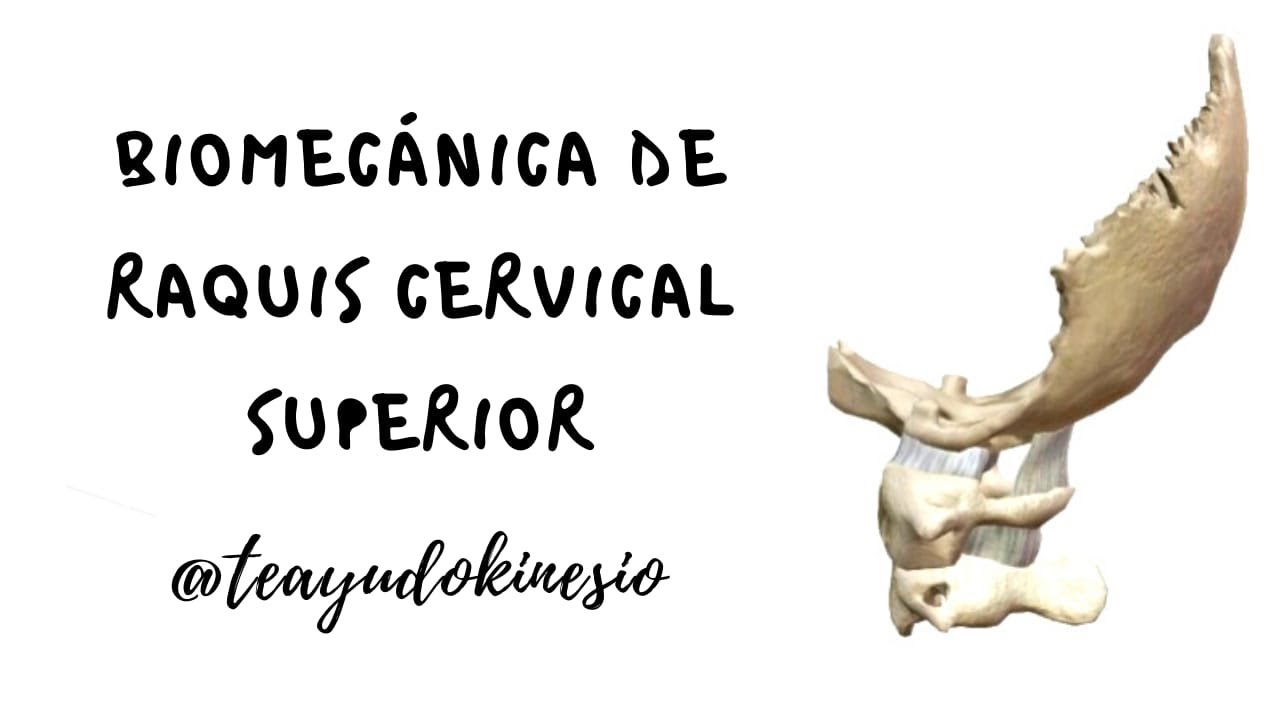 BIOMECÁNICA DE RAQUIS CERVICAL SUPERIOR: ANATOMÍA, ROM, OSTEOCINEMÁTICA Y ARTROCINEMÁTICA