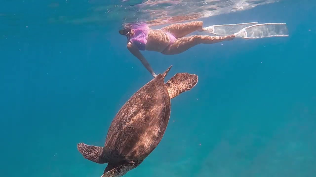 The underwater adventures of a HUMAN SUBMARINE! [Freediving Oahu, HI VLOG!]
