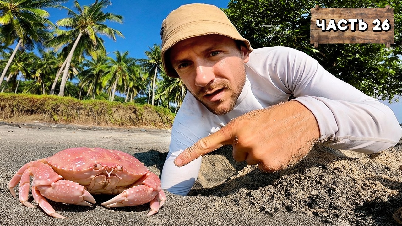 КЛАД ГДЕ ЖИВУТ АБОРИГЕНЫ. Выживание на новом острове | Кокосовая бухта (Часть 26)