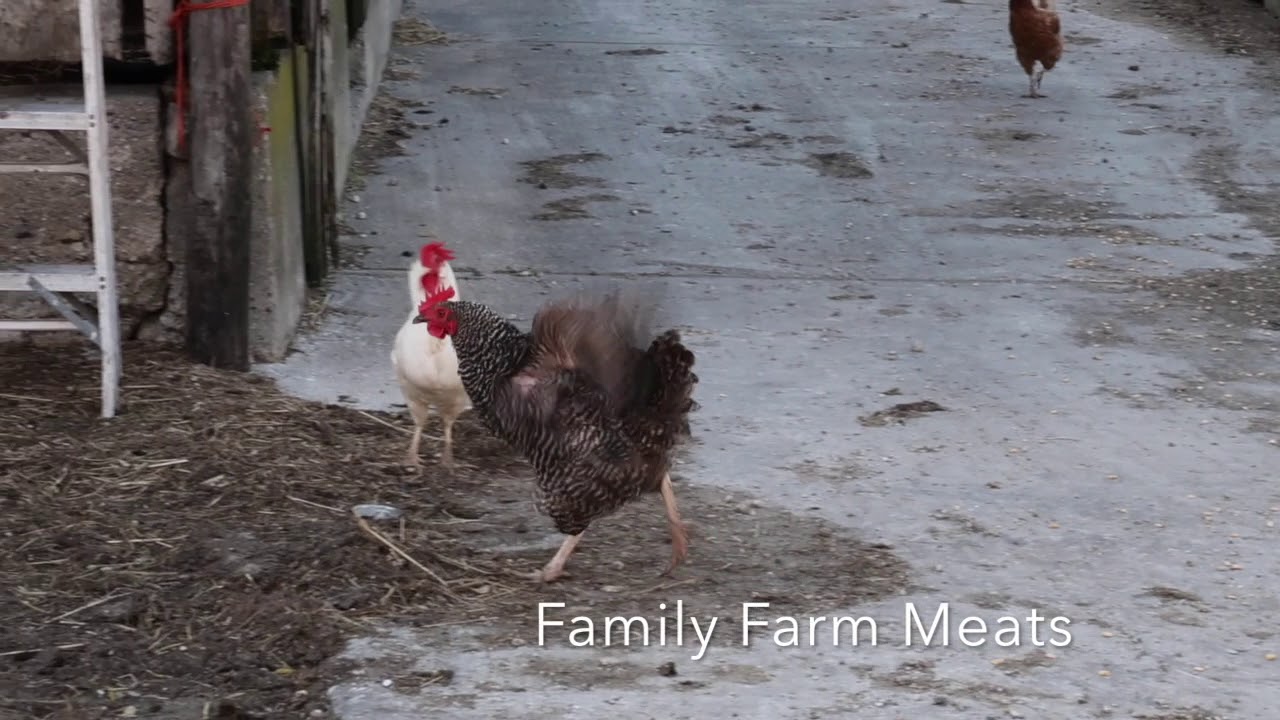 IL Farm Families - Farm Tours