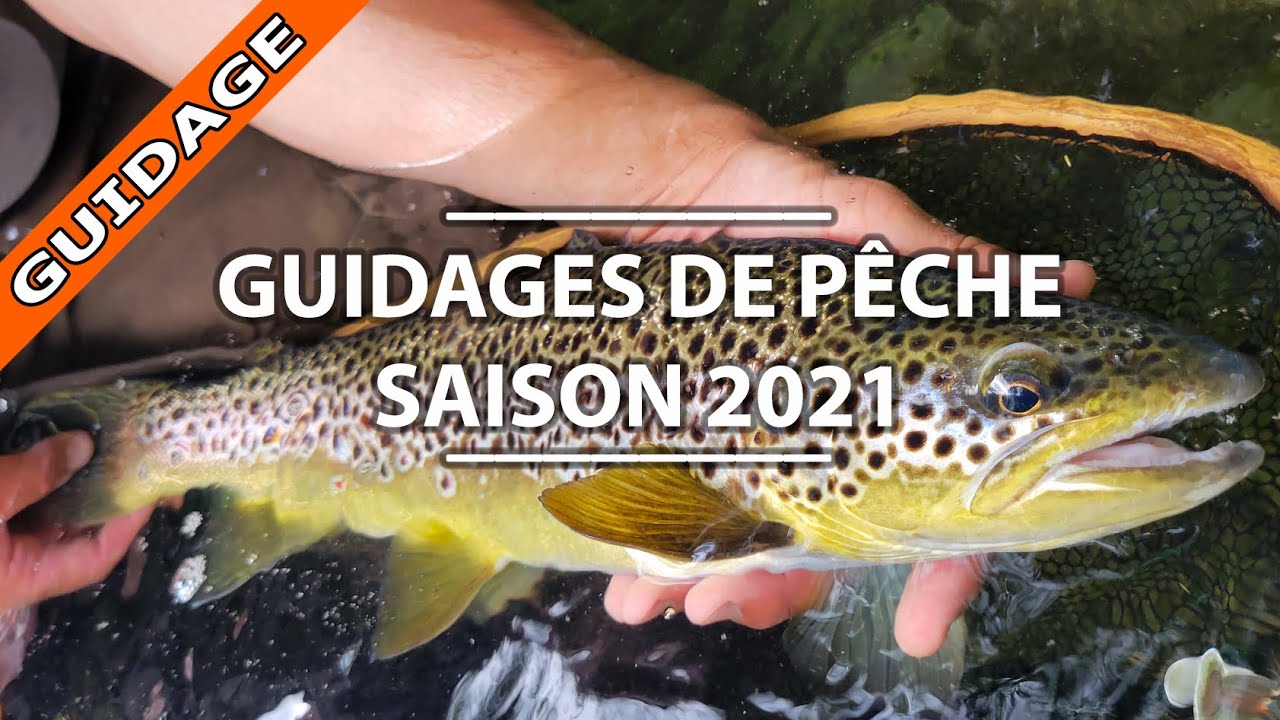 GUIDAGES de PÊCHE TRUITE dans les PYRÉNÉES / Compilation saison 2021