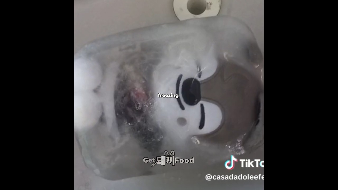 HORRIBLY INTRODUCING SKZOO💩✨️