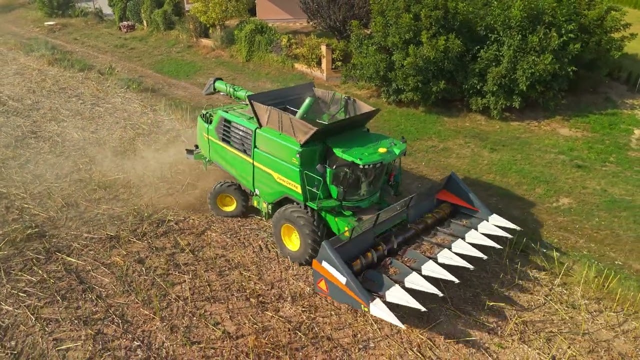 John Deere T6 800  Sunflower Harvest 2024 Czech Republic