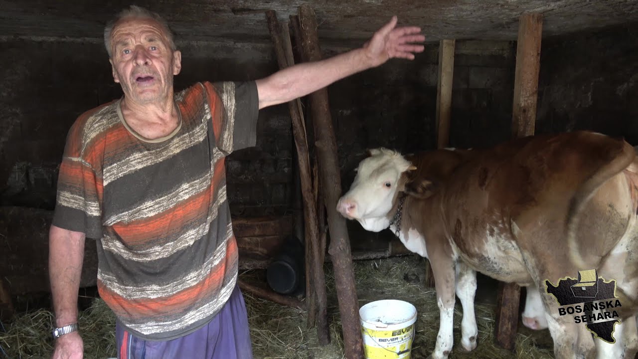 Šta ću se bojati,morao sam nešto radit.Zato sam rano otišao u penziju