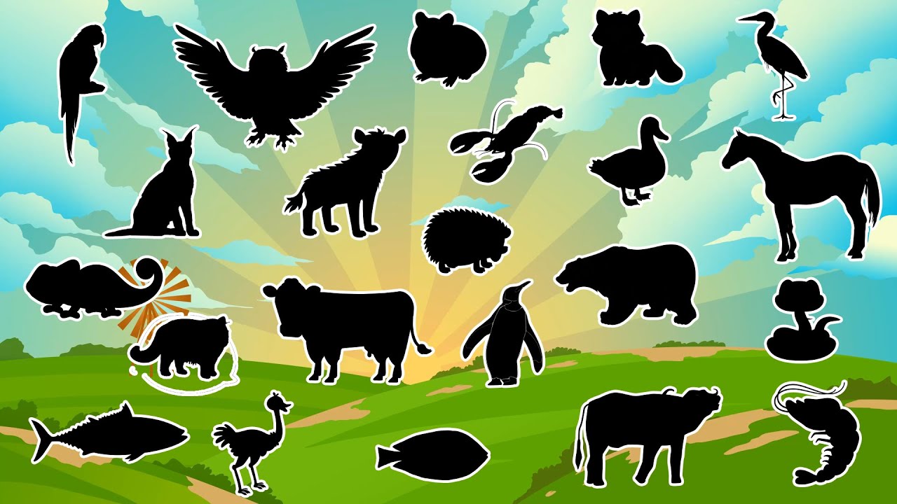 Adivinhe a Sombra: Qual Animal Está Escondido? 🐾