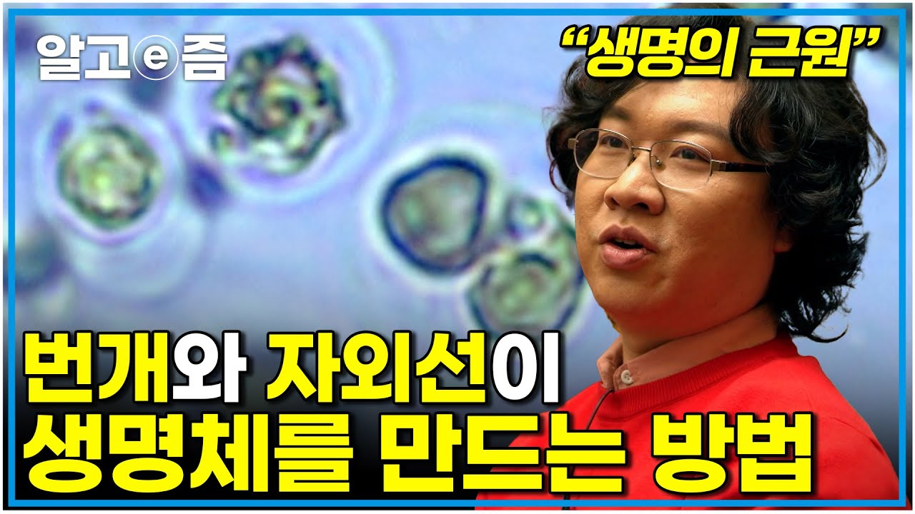 "최초의 세포" 실험실에서 만든 생명의 비밀, 진화의 끝 화학적 진화로 생명의 근원에 대해 탐구하는 시간｜취미는 과학｜알고e즘