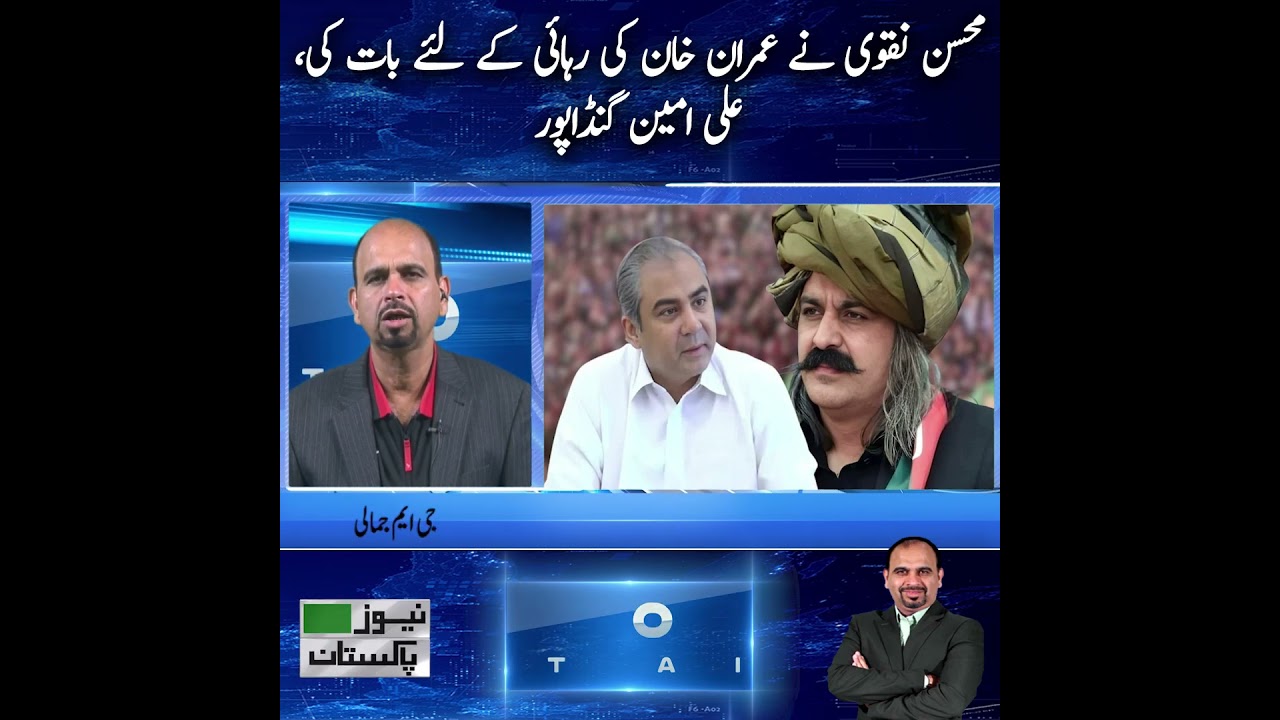 Ali Amin Gandapur Claims Mohsin Naqvi Tried to Secure Imran Khan&rsquo;s Release  | News Pakistan