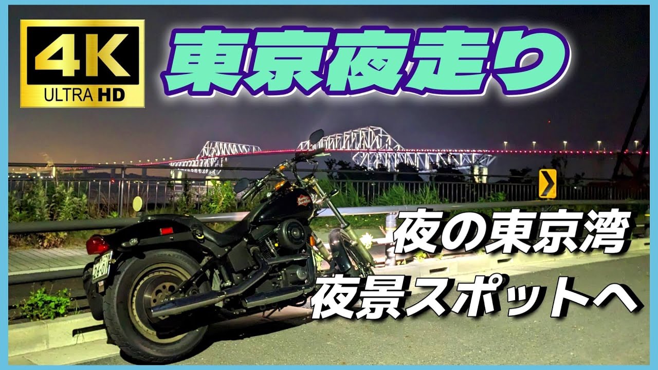 【ハーレー】梅雨明け前の夜の都内『晴海ふ頭公園&海の森公園&若洲海浜公園』ナイトツーリング【モトブログ】