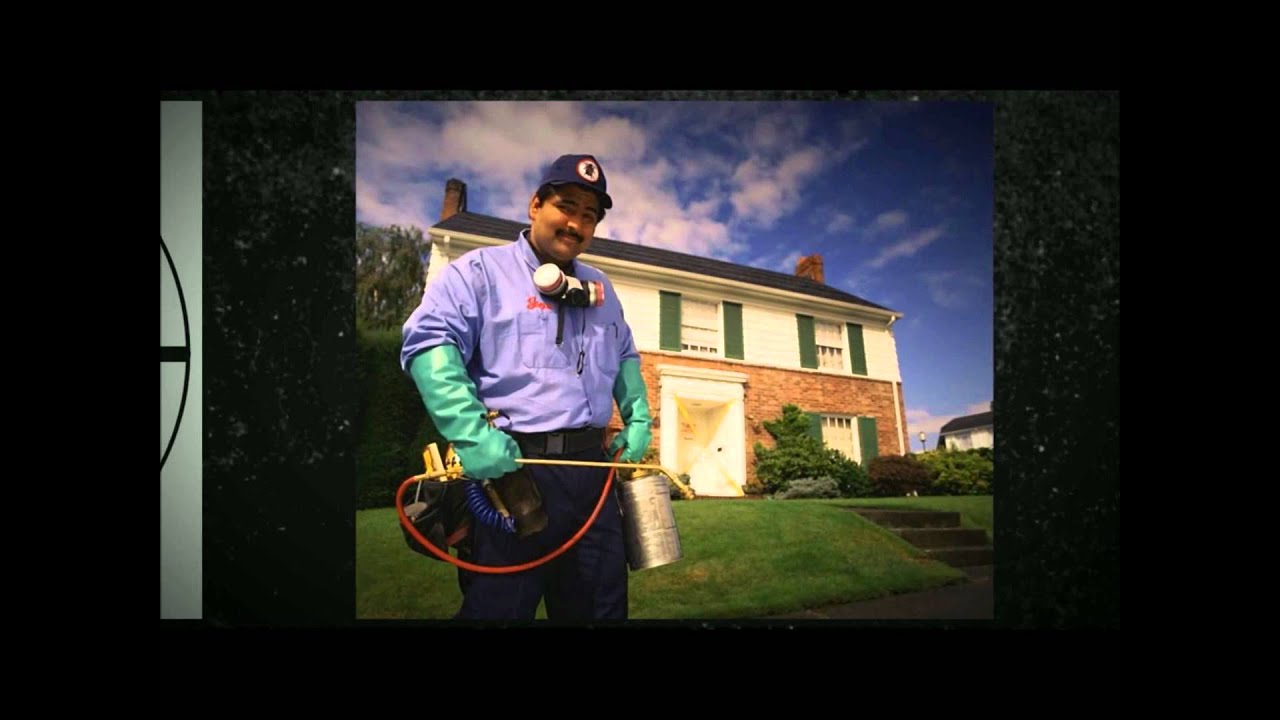 New York Pest Control Rochester | Call 646-783-4832 Now!