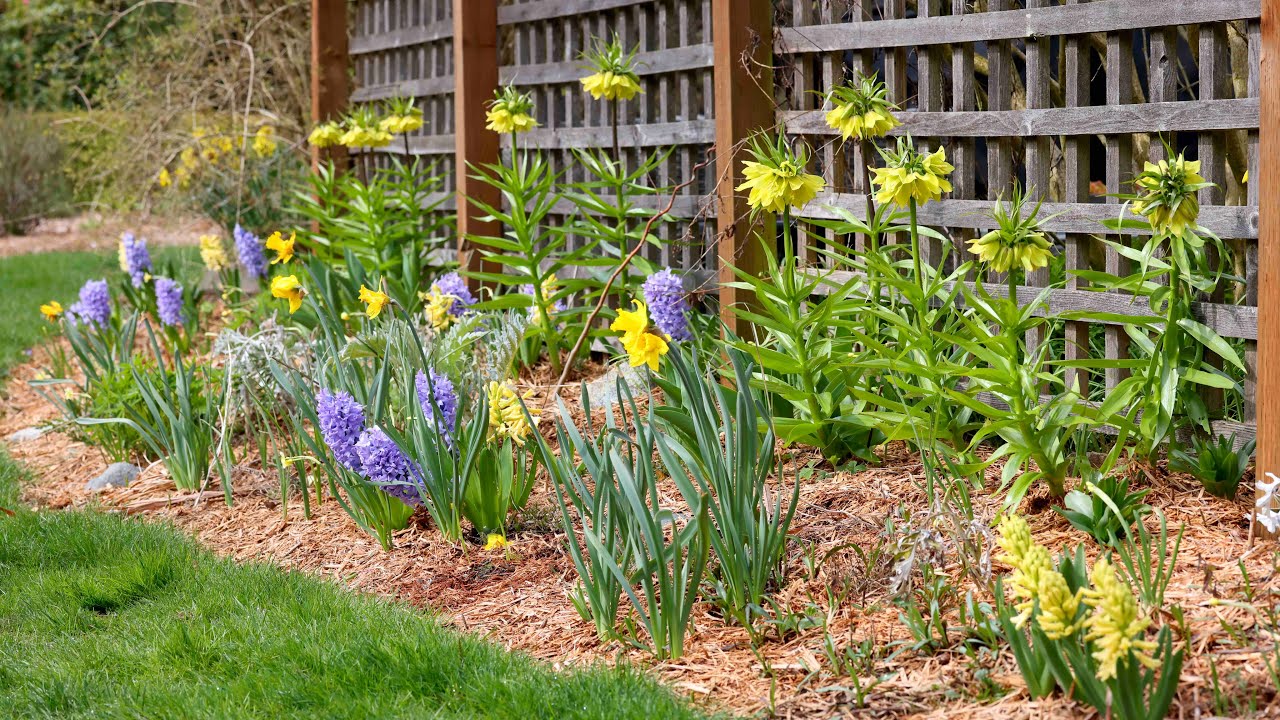 Early Spring Tour & Winter Garden Updates