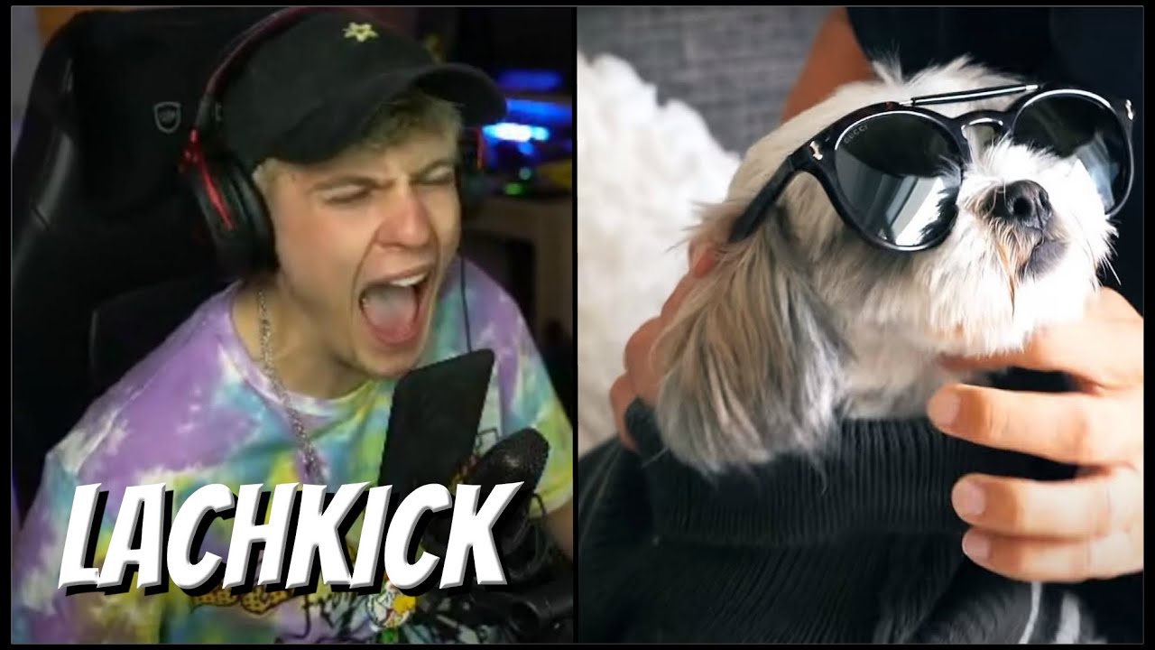 Niek REAGIERT auf HUNDEBESITZER, DIE JEDER KENNT😂