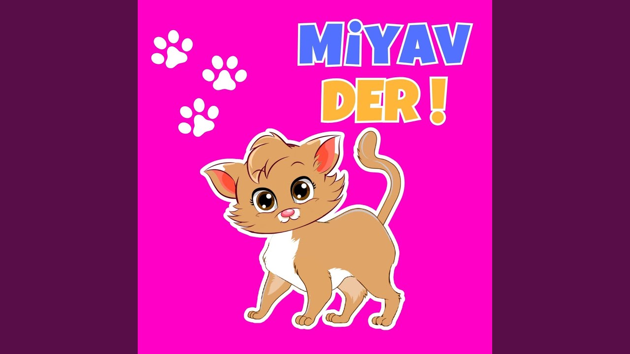 Kedicim Miyav Der