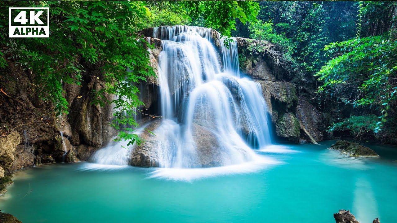 Шум реки, плавящий ваш мозг. Голос птицы [учеба, сон, релаксация, ASMR]