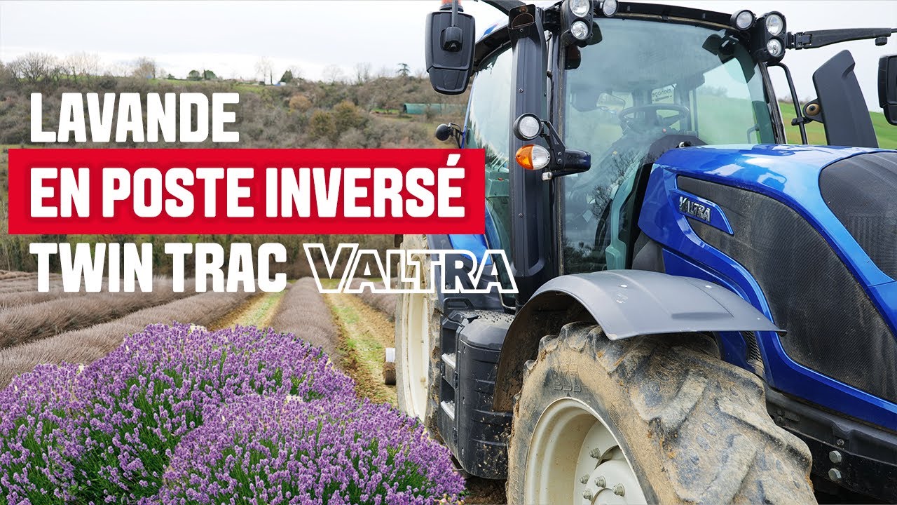 Poste Inversé Valtra dans la Culture de Lavande !