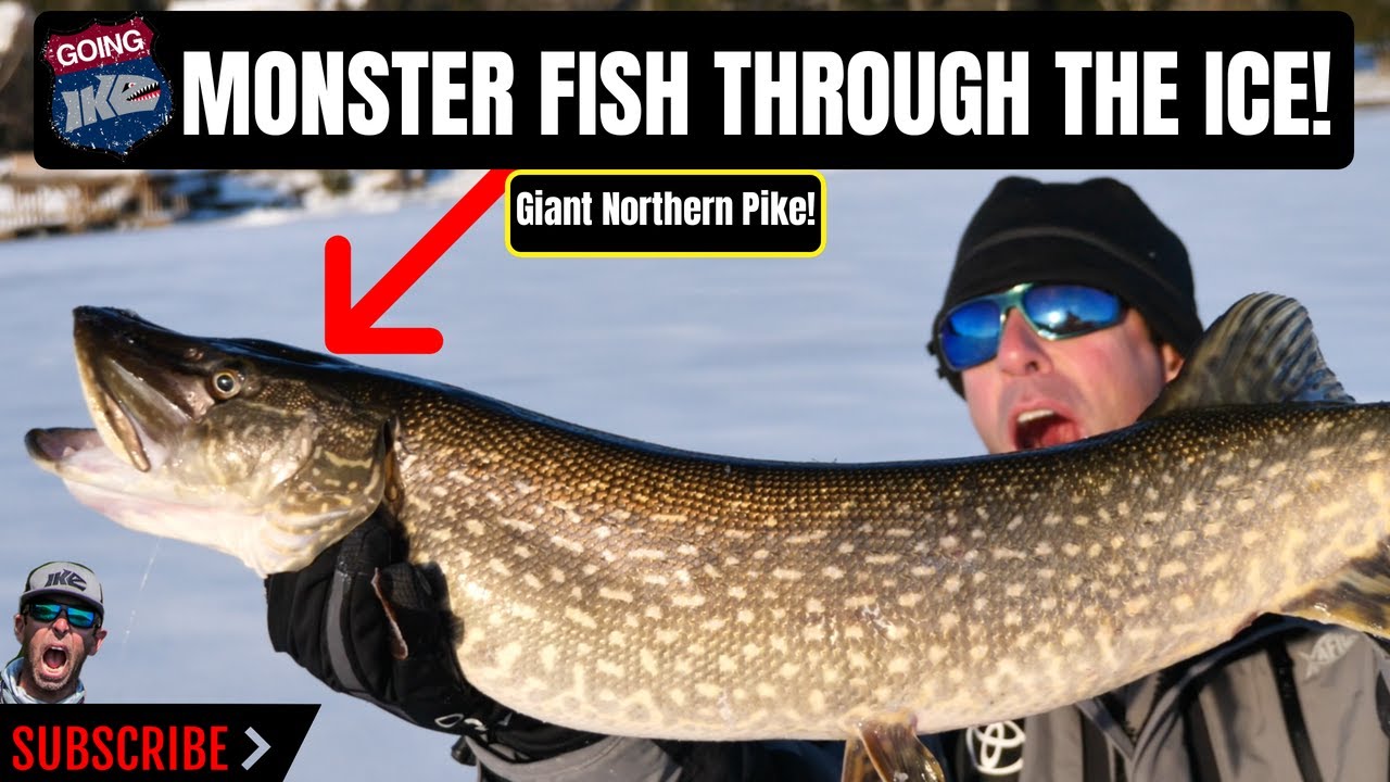 Monster Fish Through the Ice on Lake George!!