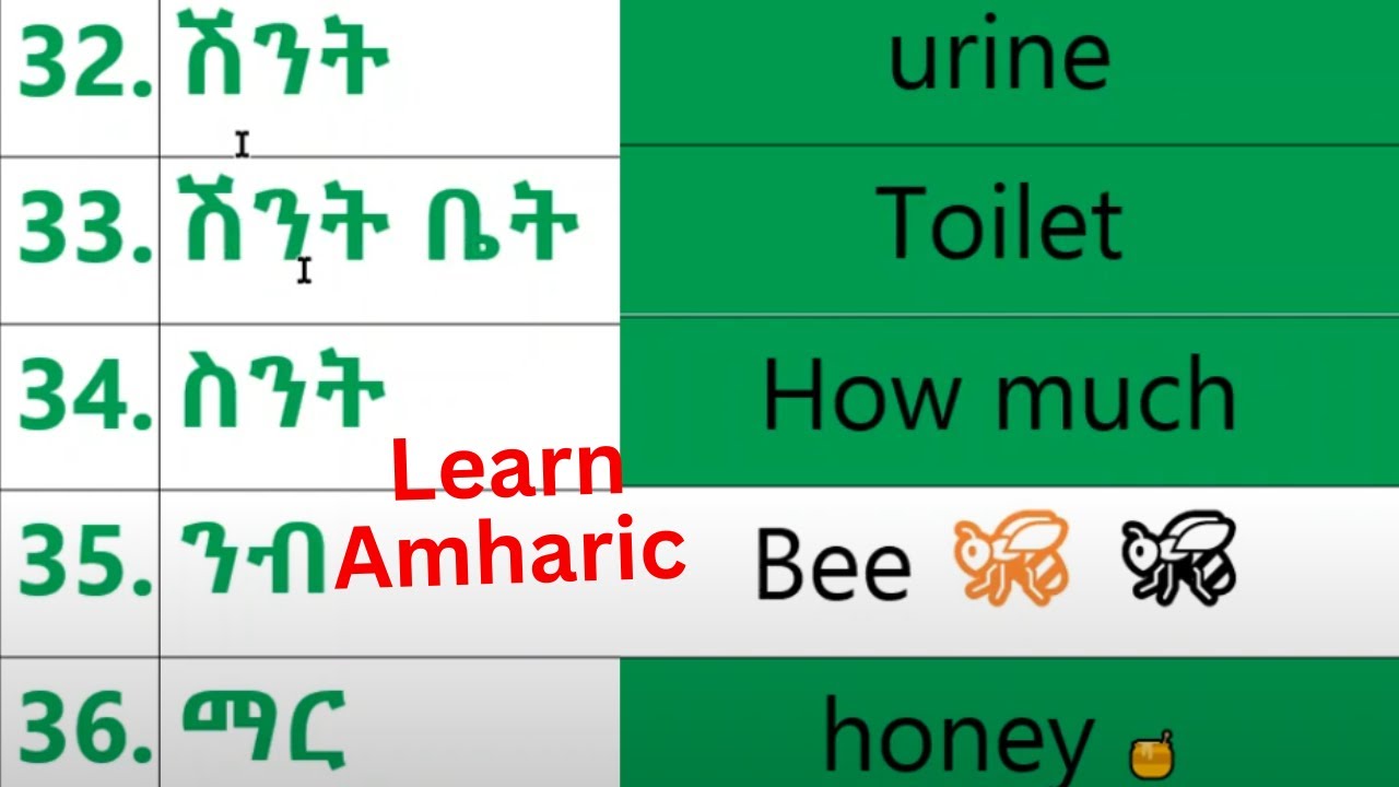 Amharic Reading Practice/Lesson for beginners | Learn Amharic with Me