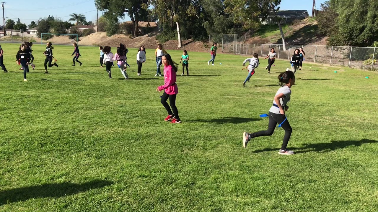Flag Tag