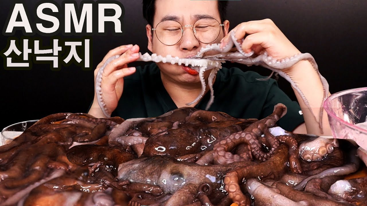산낙지  살아있는 통째로 먹방 리얼사운드 ASMR MUKBANG ! SLICED RAW OCTOPUS 活章鱼, 吃播