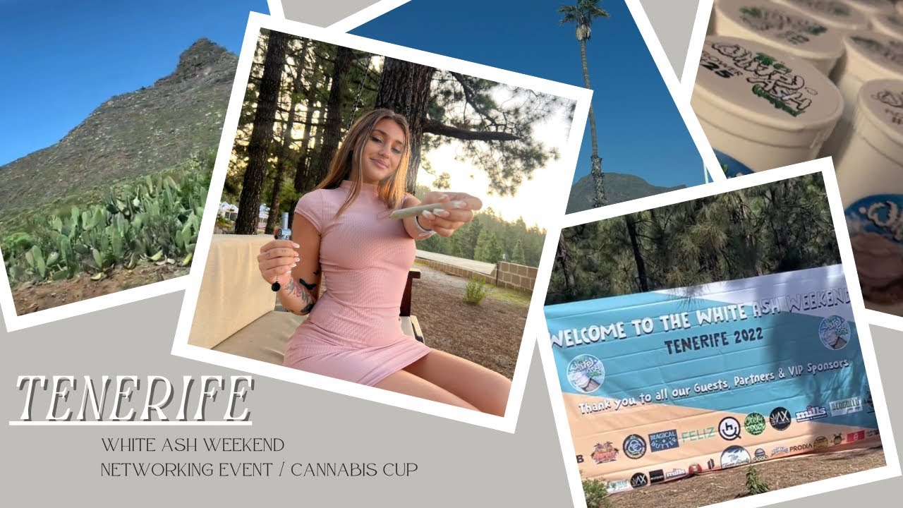 TENERIFE | WEED COMPETITION | Social clubs & more