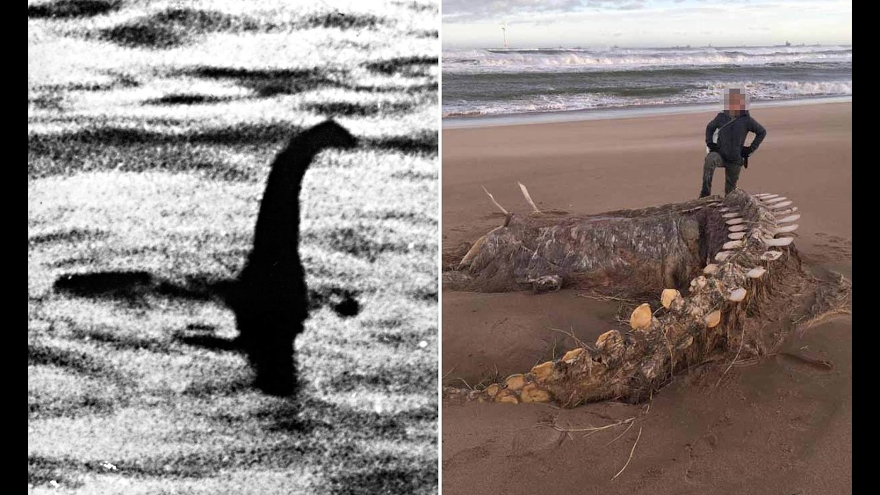 Montauk 'MONSTERS', Plum Island, HYBRID MYSTERIES (2026)