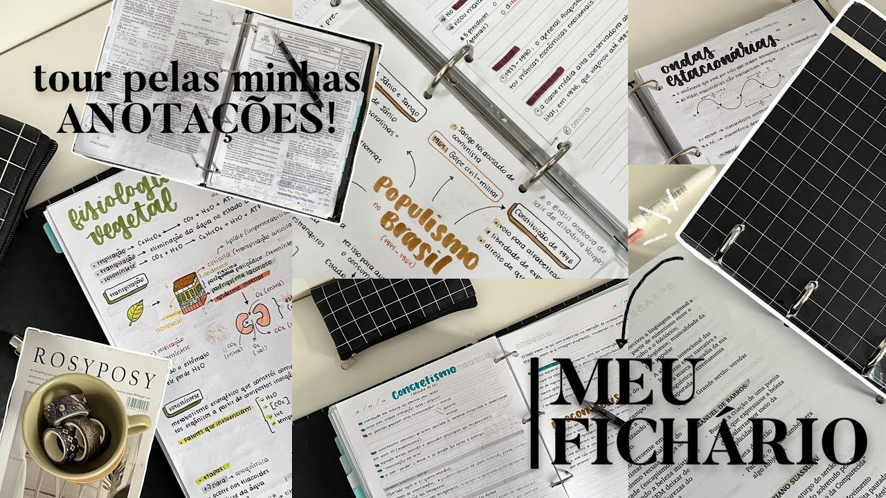meu fichário do 3 ano + tour pelas minhas anotações!!📓