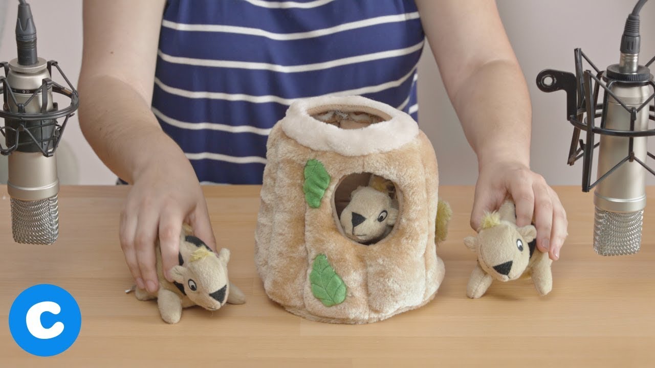 ASMR with Dog Toys | Chewy