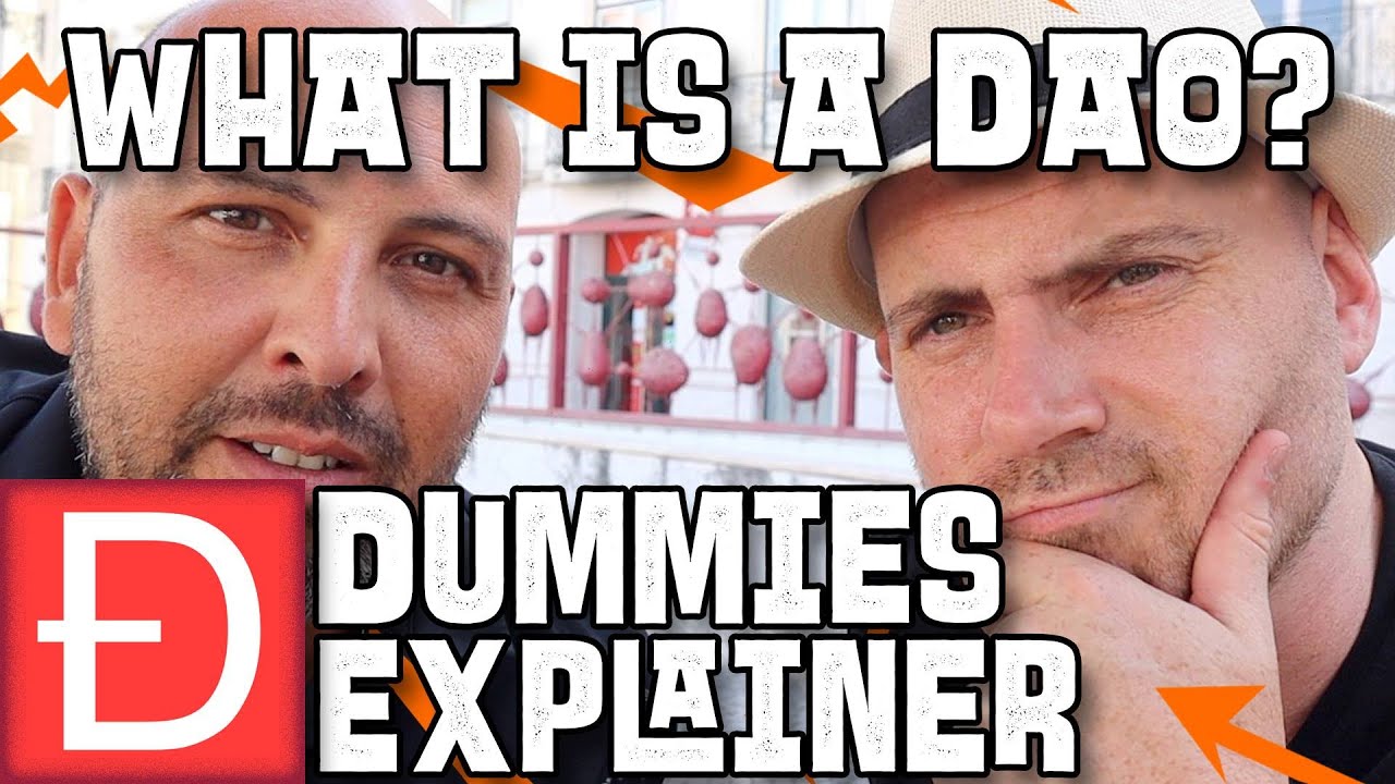 What is A DAO  Dummies explainer