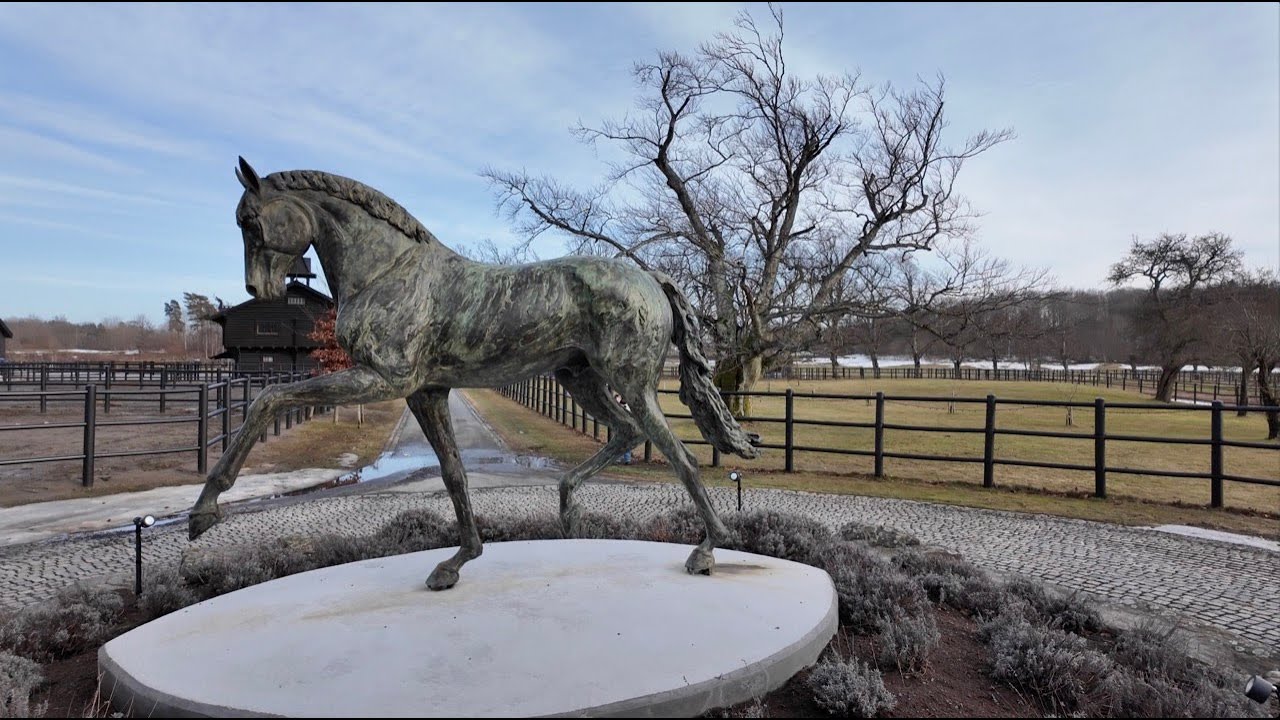 Andresen Dressage