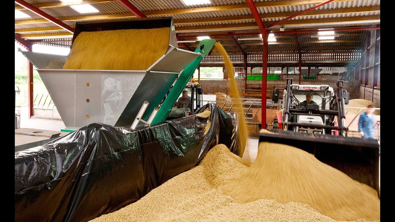Kelvin Cave Ltd Overview