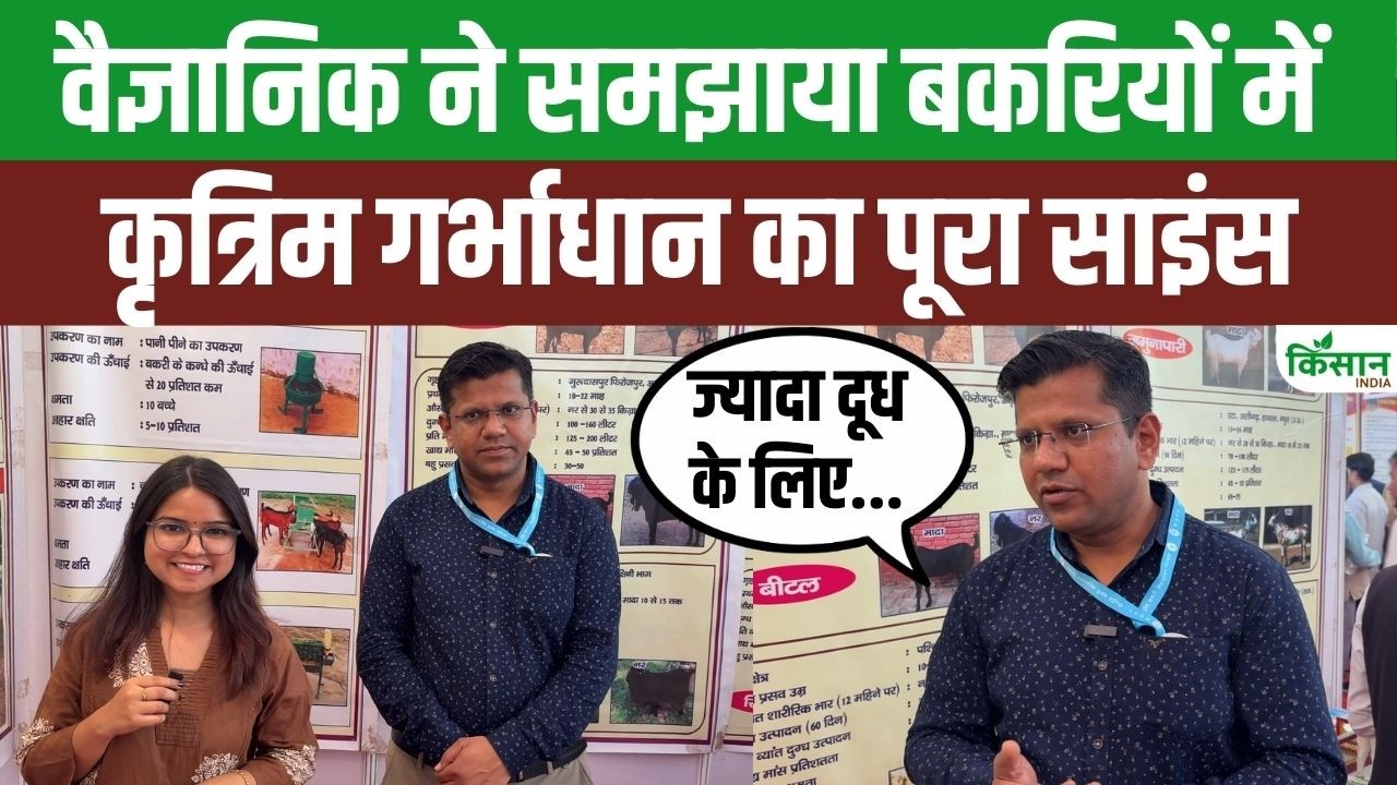 Goat Farming Business: बकरीपालकों के लिए जरूरी जानकारी | नस्ल, बीमारी और टीकाकरण पर Expert की सलाह!