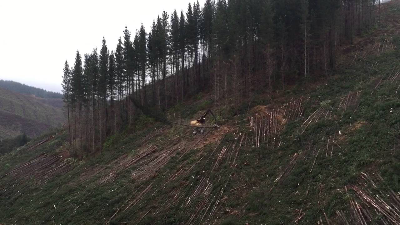 Tethered falling