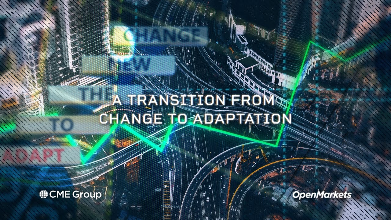 Economist Perspective: A Transition From Change To Adaptation