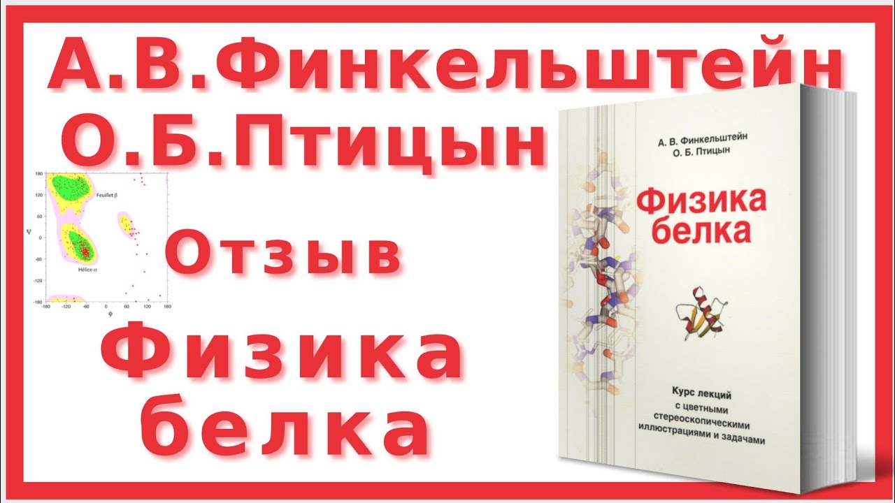 Физика белка | А.Б.Финкельштейн, О.В.Птицын | Отзыв
