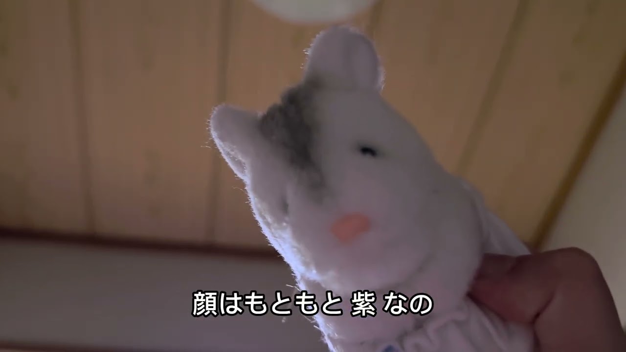 何も考えてないハムスターの看病